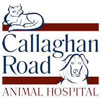 Callaghan Road Animal Hospital